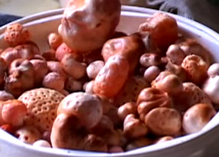  El Sabor de Nuestra Historia