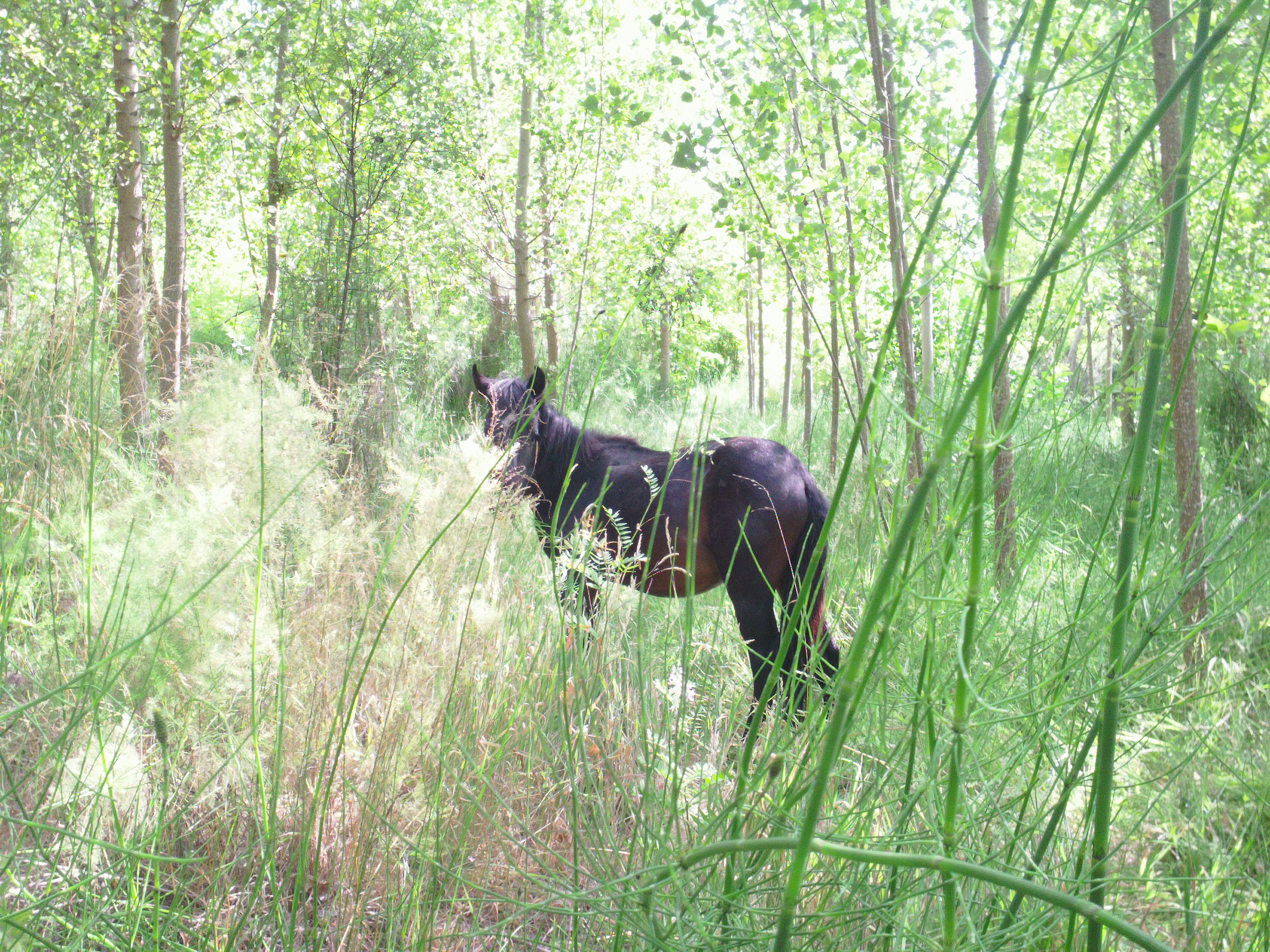 Coínco, una historia.. mil recuerdos. Tercera parte