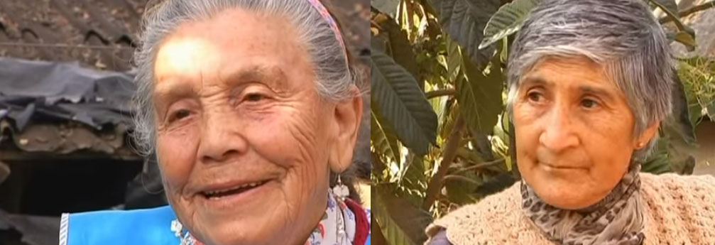 Las violetas, dos mujeres y un canto