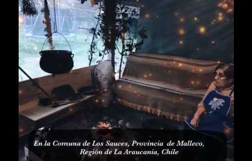 Estofado de San Juan