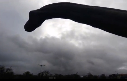 Dinosaurios en la Patagonia