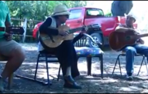 Violeta Ipinza Romero: Cantora Campesina