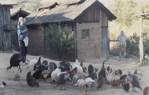 Exposición fotográfica "De los campos de Ñuble"