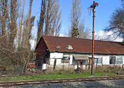 Caserio Colliguay de Chillán