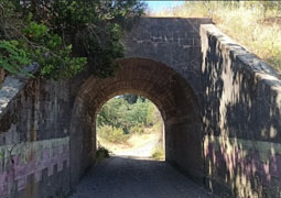 Bicicleta, rio Itata y ferrocarril