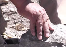 La Paleontología en Calama