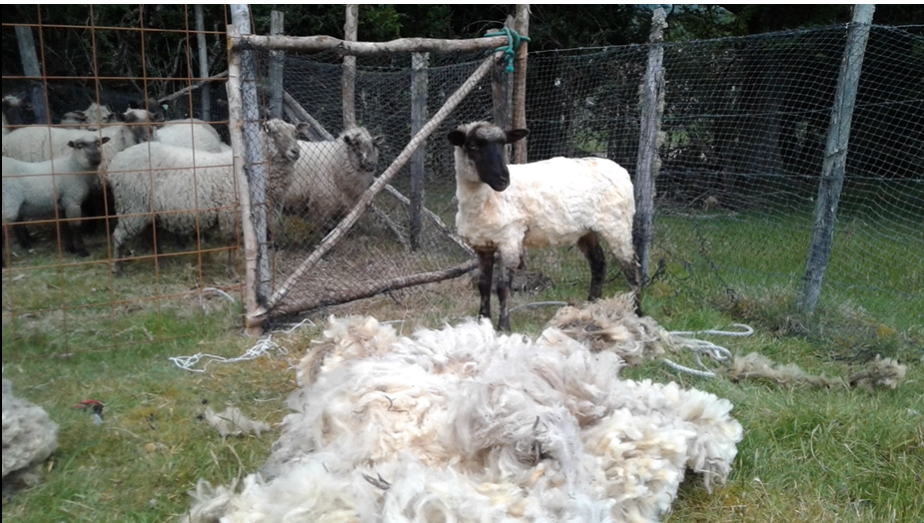La Esquila, un oficio para no olvidar!!
