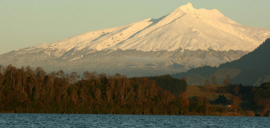 Lorem ipsum dolor sit amet consectetur adipiscing elit risus dictum vivamusLorem ipsum dolor sit amet consectetur adipiscing elit risus dictum vivamusLorem ipsum dolor sit amet consectetur adipiscing elit risus dictum vivamus