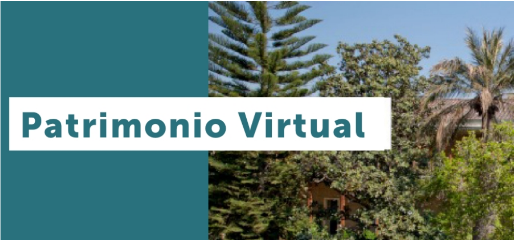 Patrimonio Virtual